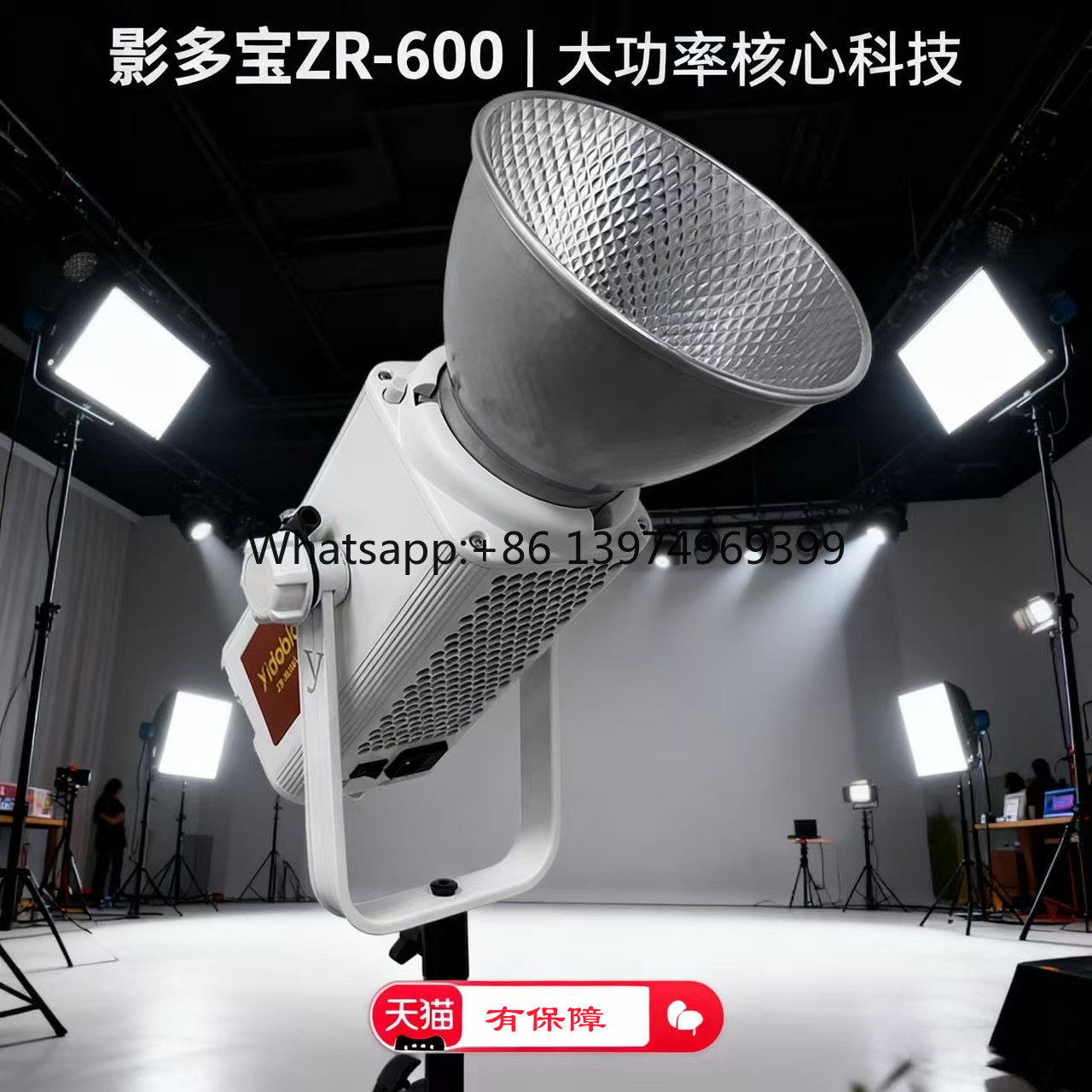 Photography Lighting Definition - Yingduobao 600Wプロフェッショナルダイレクトフィルライト、主な用途：販売用写真撮影ライト、高解像度ポートレート撮影。