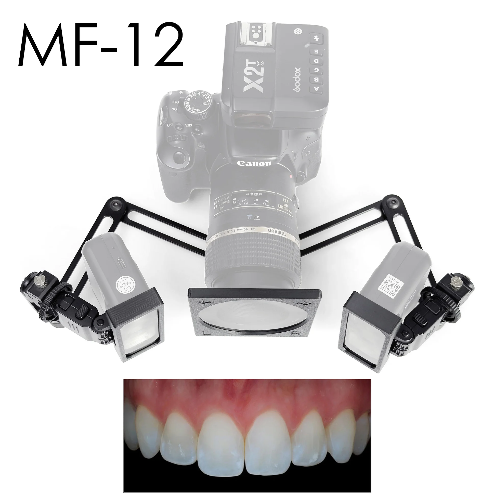 Godox MF12 カメラ用フラッシュフィルターセット 偏 - Photography Lighting Kit Godox のレビューと価格
